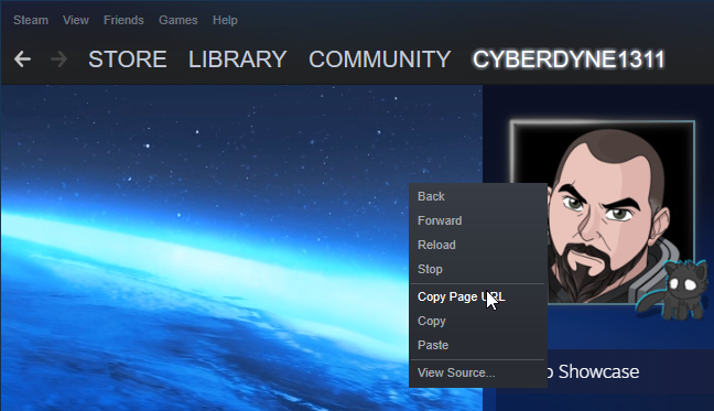 comates-help-steam-profile-copyurl.png
