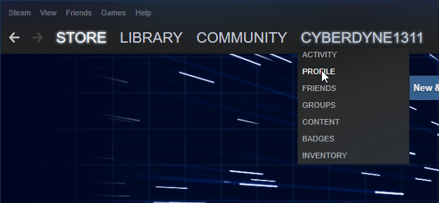 comates-help-steam-profile-open.png
